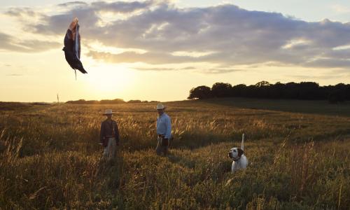 People in field with a hunting dog