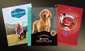 Purina puppy dog food packages - puppy chow, pro plan, purina one
