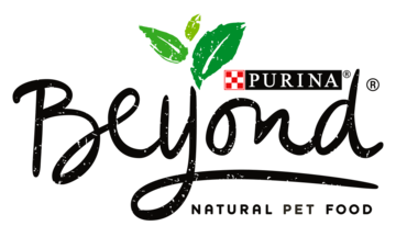 beyond logo