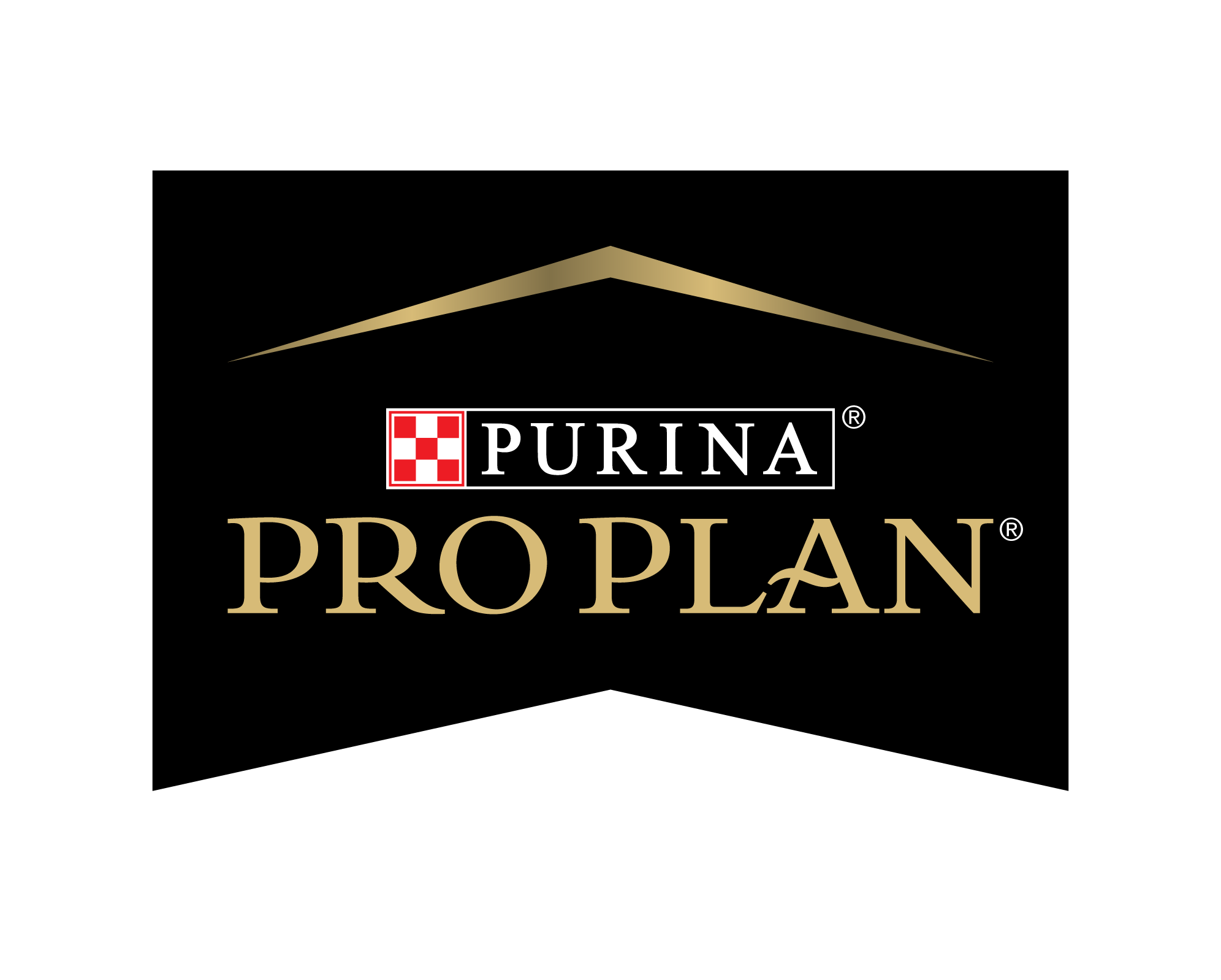 pro plan flag logo