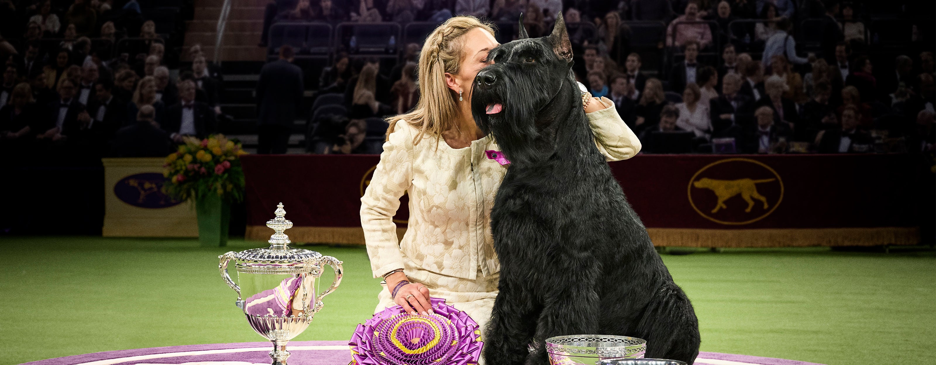Buy what breed won the westminster dog show Store Black Friday