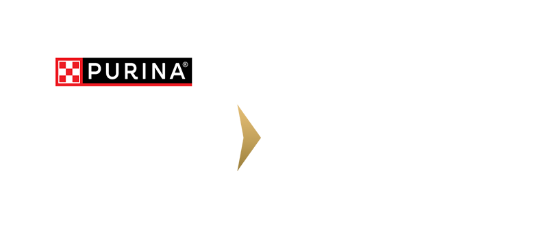 Pro Club logo
