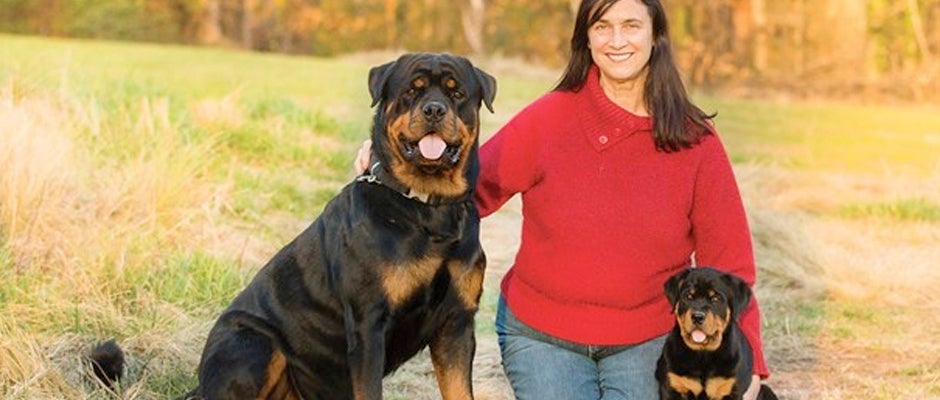 Autistic Rottweilers Subvalvular Aortic Stenosis in Rottweilers Research | Purina Pro Club