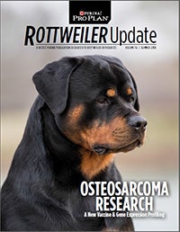 Rottweiler Update Cover