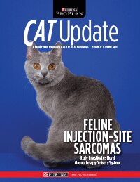 cat-update-2019