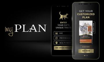 myplan app with cat package