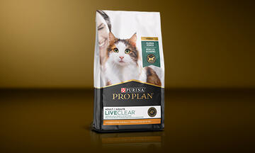 Specialized Cat Food