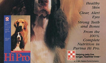 Excerpt from Purina Hi Pro Ad, featuring a golden retriever and a springer spaniel
