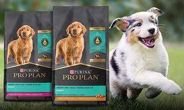 Pro Plan puppy products