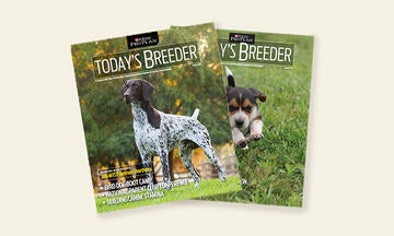 todays-breeder-homepage-500x300