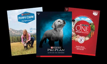 Purina puppy dog food packages - puppy chow, pro plan, purina one