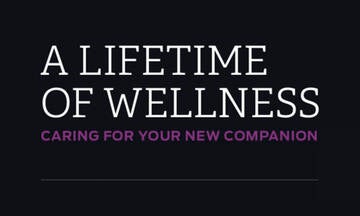 Image that says A lifetime of wellness