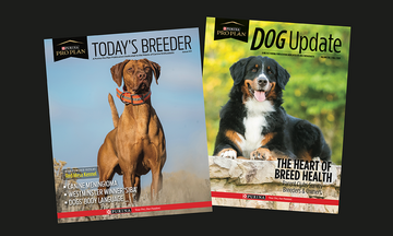image of today's breeder and dog updates magazines