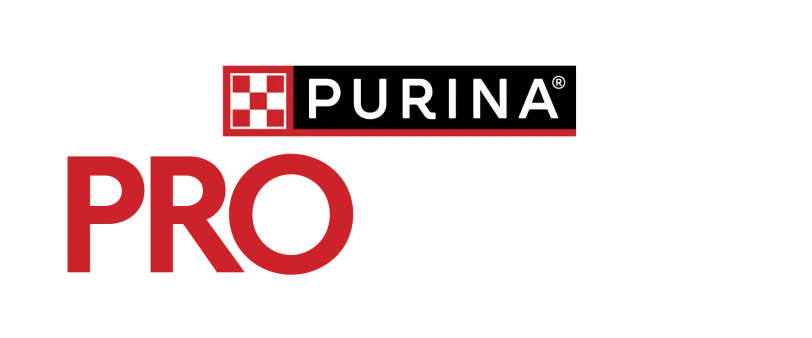 Pro Club Logo
