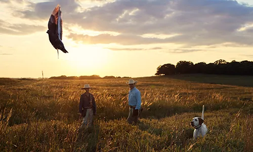 Two men standing in a field with a hunting dog