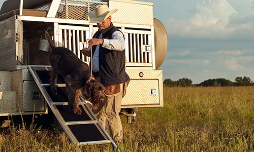 Man helping dog down a ladder into a field