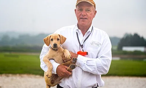 BR15700 LTD WebfootKennel Mitch Puppy Portrait
