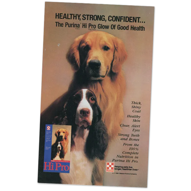 1972 – 1985 Powered by Protein