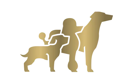silhouette of dogs