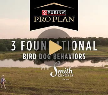 3FoundationalDogBehaviors