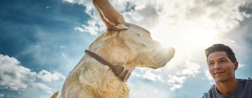 Dog &amp; person with clouds above them - Atopic Dermatitis Treatment