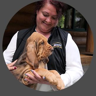 Pro Stories - Breeding