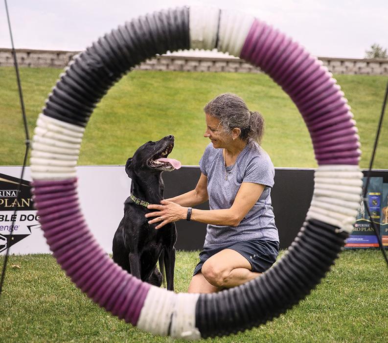 Sidebar-liz-dole-veterinarian-championship-dog-agility-trainer