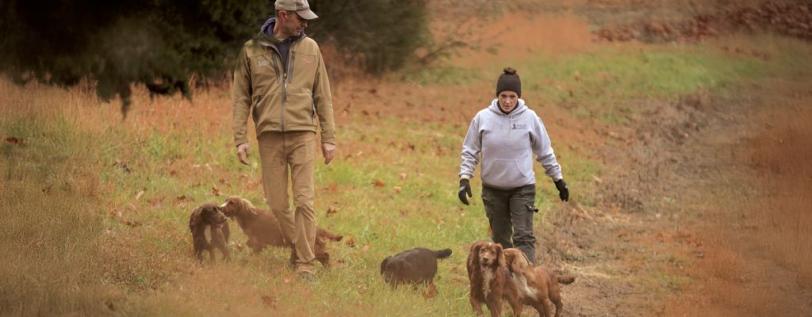 Ryglen Gundogs Jay Lowry and Buffy Chandler walking in field with dogs.