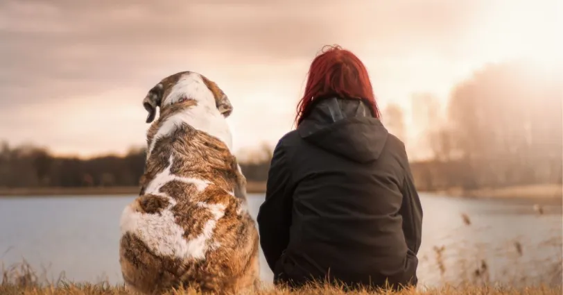  A dog and human sitting next to each other facing a lake.