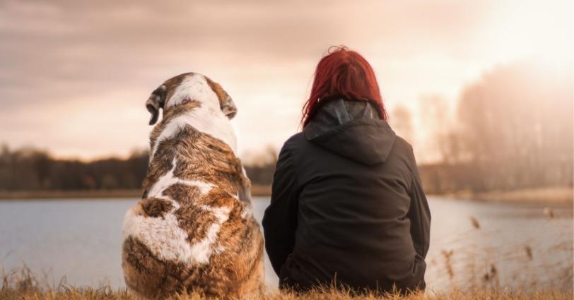  A dog and human sitting next to each other facing a lake.