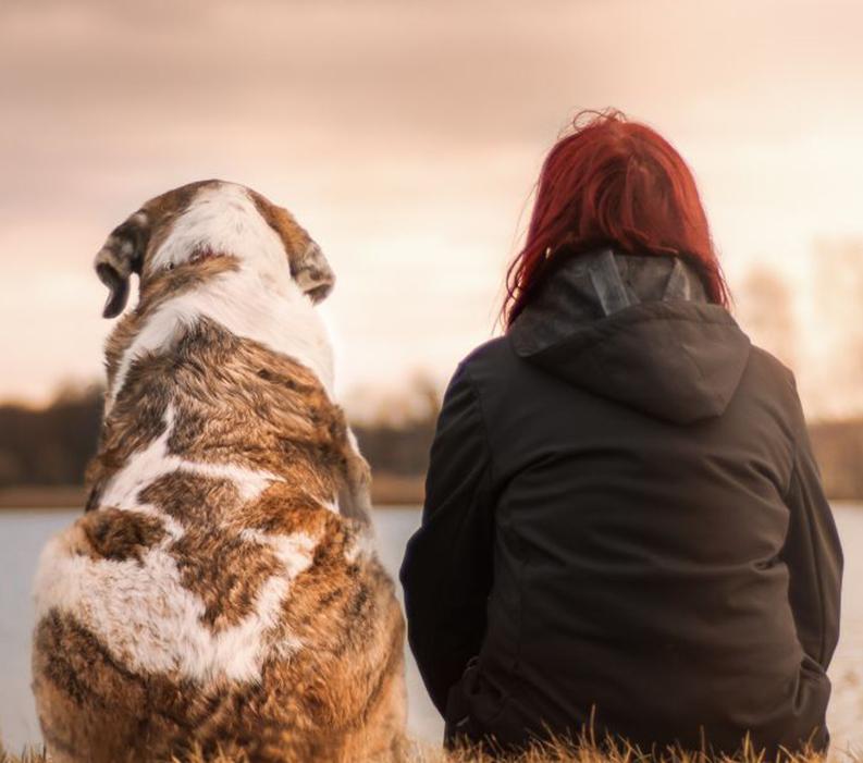 A dog and human sitting next to each other facing a lake.