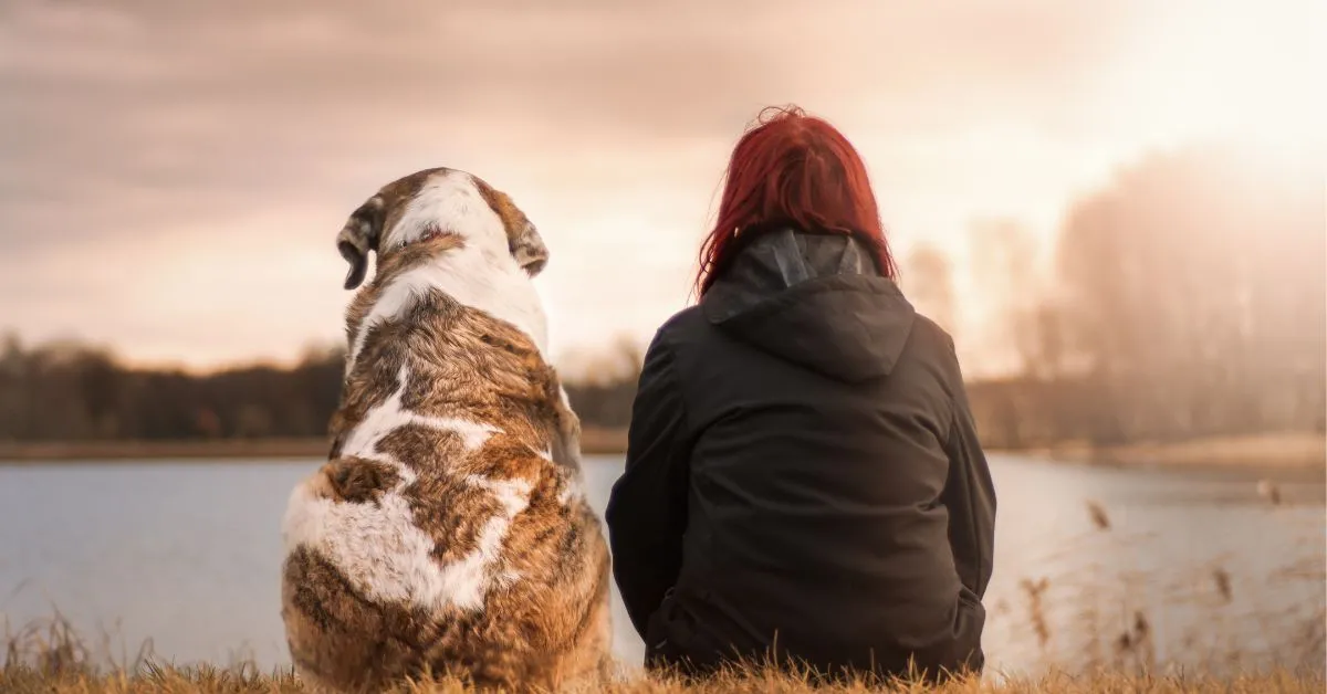  A dog and human sitting next to each other facing a lake.