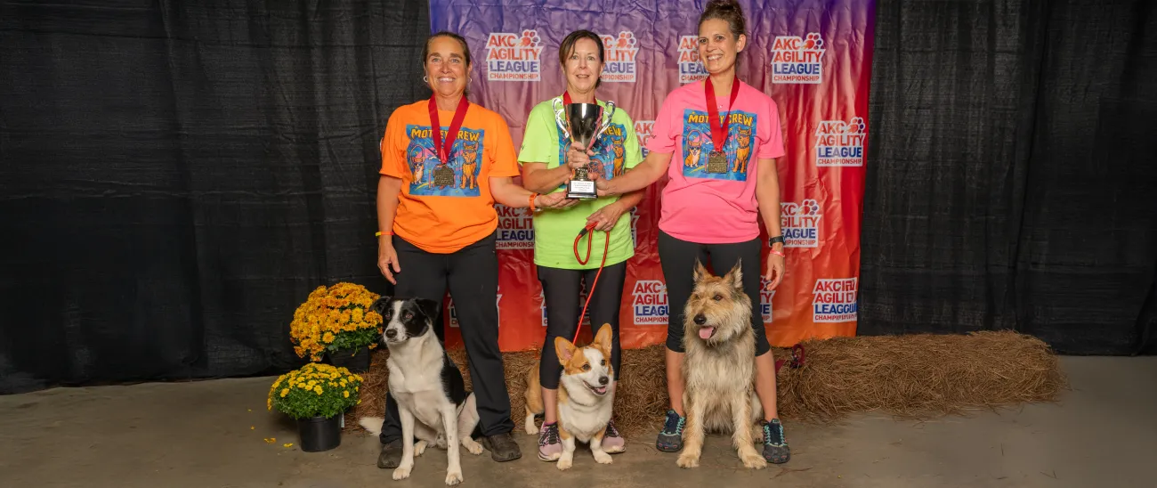 Newcomer Ender excels at 2025 AKC Agility League Championship.