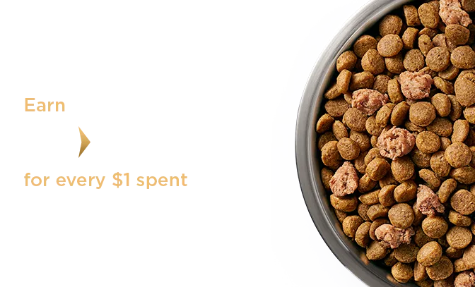 A bowl of kibble with “Earn 10 points for every $1 spent” callout.