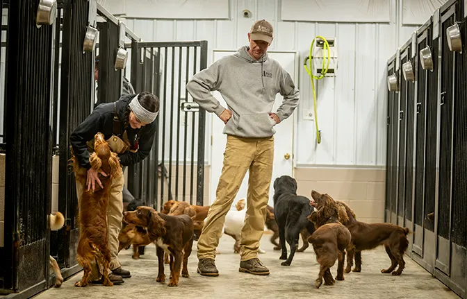 Two breeders in a kennel with a group of dogs.