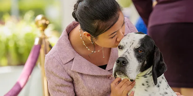 A human bending down and kissing their dog’s head.