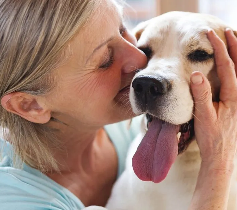 Good Dog Breeder Webinar - Breeder Mythbusters: Top 10 Myths in Canine Reproduction.