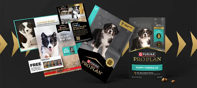 Items included in Pro Club’s Puppy Kits. 