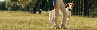 a person walking a dog