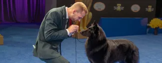 ‘Soleil,’ a Belgian Sheepdog, Wins Best in Show at 2025 National Dog Show.