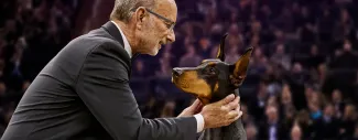 2026 WKC Best In Show and Working Group Winner, Doberman Pinscher, Penny, and her handler.