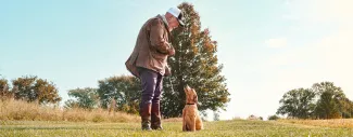 Person training a sporting dog on a leash in an open grassy field.