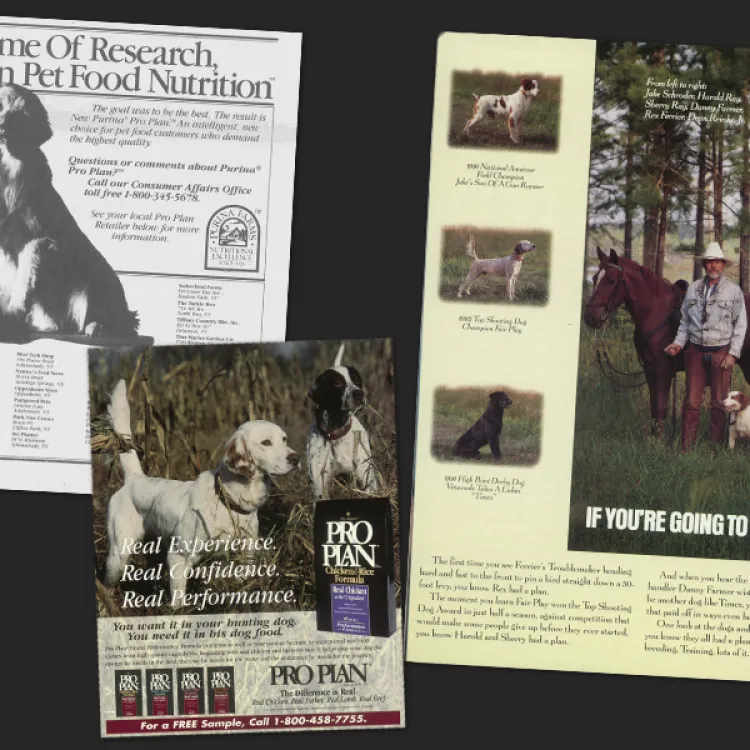 A collage of vintage Purina Pro Plan advertisements featuring hunting dogs and their handlers, showcasing the brand’s long-standing association with pet nutrition and performance in sporting activities.
